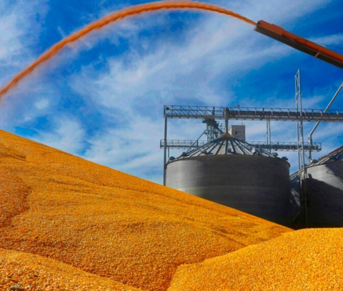 post-cosecha post-cosecha